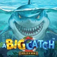 A Big Catch - Hold & Win Bsg screenshot